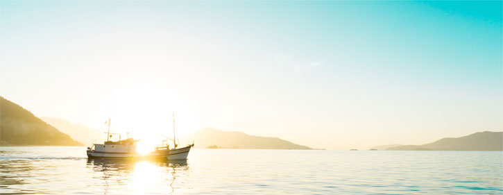 合作(zuò)共赢創造美好未來(lái)